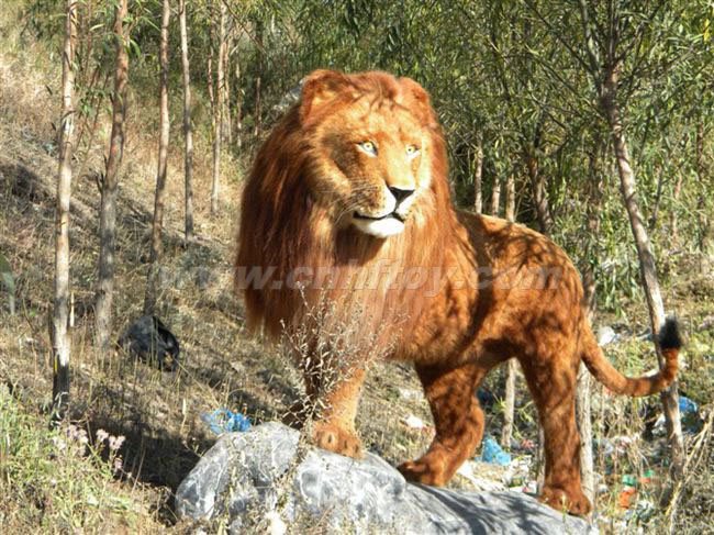 私人(rén)訂制(zhì)：ZCPY720-9義烏楚傑工藝品有限公司