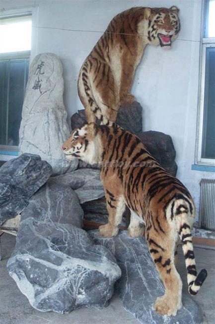 私人(rén)訂制(zhì)：ZCPY560-11義烏楚傑工藝品有限公司