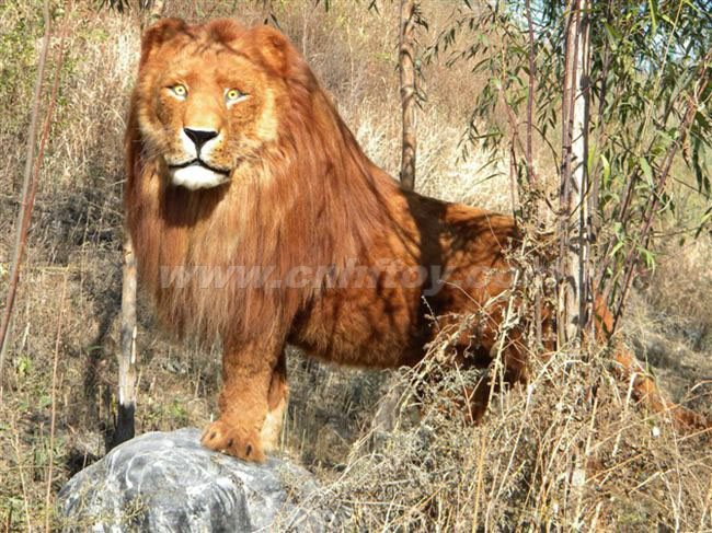 私人(rén)訂制(zhì)：ZCPY330-40義烏楚傑工藝品有限公司