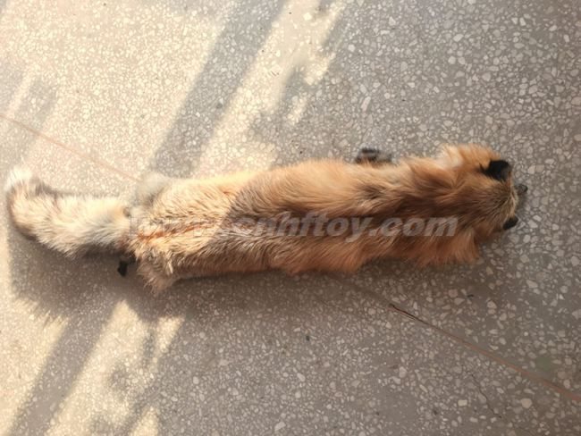 挂毯地(dì)毯：Ca006義烏楚傑工藝品有限公司