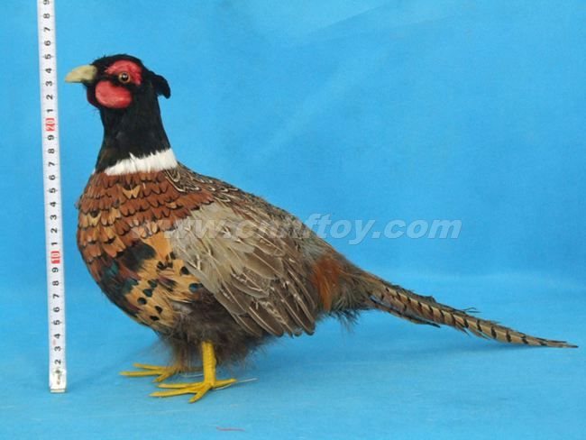 皮毛玩(wán)具鳥：NI036義烏楚傑工藝品有限公司