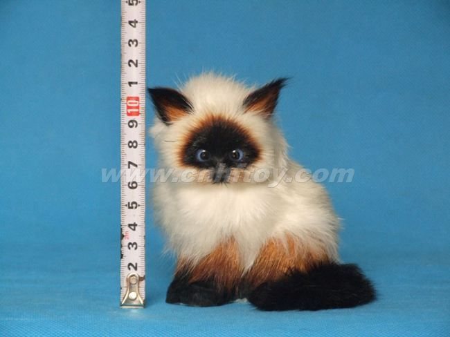 皮毛玩(wán)具貓：M833義烏楚傑工藝品有限公司