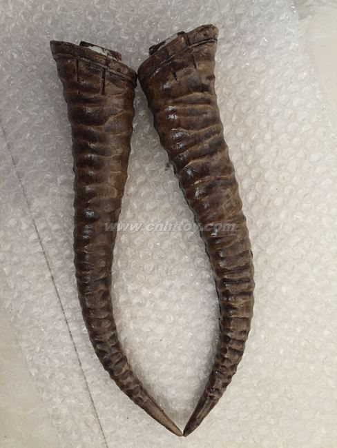 其它工(gōng)藝品：Q019義烏楚傑工藝品有限公司